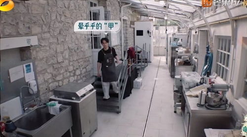 《中餐廳8》爭(zhēng)議升級(jí) 林述巍被鎖冷庫(kù)，導(dǎo)演做法引眾怒